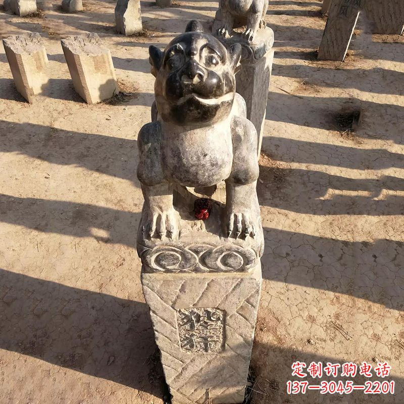 哈尔滨狴犴驱赶烦恼，拥抱快乐