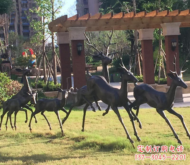 哈尔滨“梅花鹿传递自由与美好”