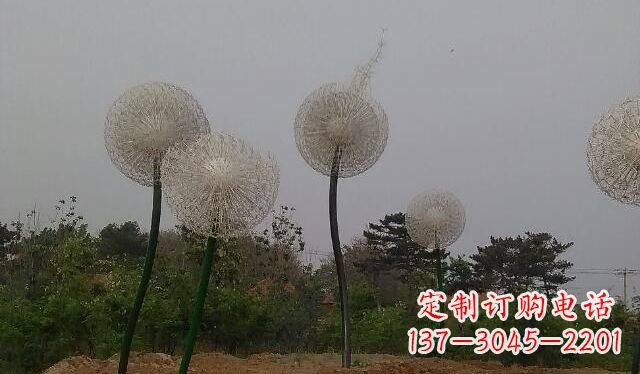 哈尔滨蒲公英的绚丽多彩