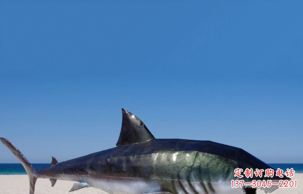 哈尔滨海洋生物之美——不锈钢鲨鱼雕塑