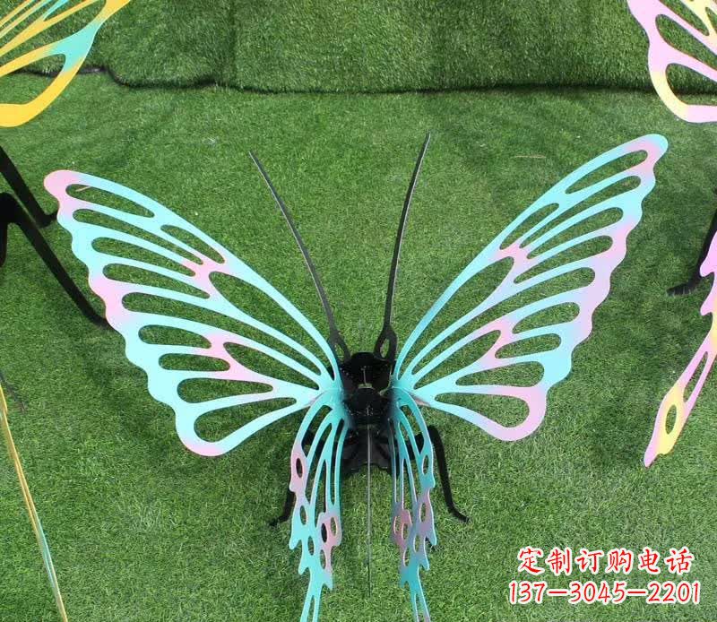 哈尔滨彩色不锈钢镂空蝴蝶雕塑精美又充满生机