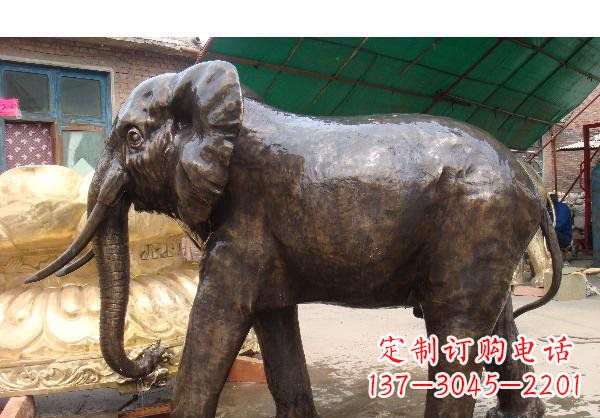 哈尔滨精美大象铜雕塑