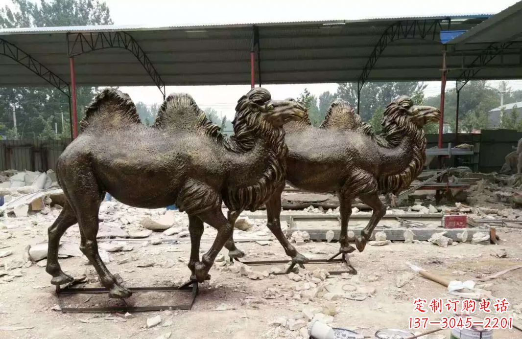 哈尔滨欣赏大自然的艺术之作——骆驼铜雕