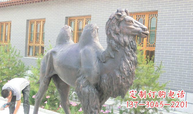 哈尔滨骆驼公园动物铜雕 (2)