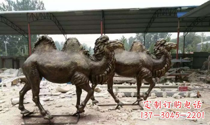 哈尔滨骆驼动物铜雕 (4)
